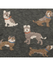 Load image into Gallery viewer, Bébé Austin Dogs Knitted Jumper