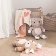 Load image into Gallery viewer, Living Textiles Nappy Caddy with Liner - Gingham
