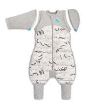 Load image into Gallery viewer, Love To Dream SWADDLE UP™ Transition Suit 3.5 TOG