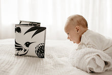Load image into Gallery viewer, Wildbaby Organic Cloth Book