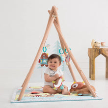 Load image into Gallery viewer, Skip Hop Camping Cub Activity Gym