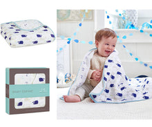 Load image into Gallery viewer, Aden + Anais Dream Blanket - www.bebebits.com.au
