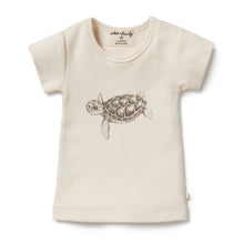 Load image into Gallery viewer, wilson + frenchy Organic Tee - Tiny Turtle