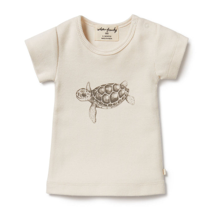 wilson + frenchy Organic Tee - Tiny Turtle