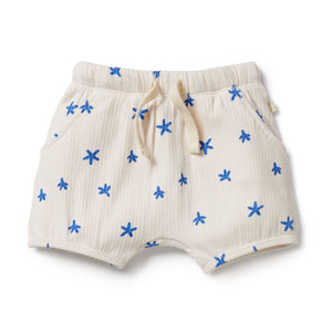 wilson + frenchy Little Starfish Kimono + Short Set