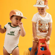 Load image into Gallery viewer, Hip Hip Hooray Birthday Ringer Tee | 2 Year Old