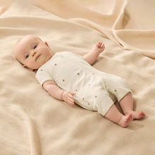 Load image into Gallery viewer, wilson + frenchy Organic Boyleg Zipsuit | Bee Mine