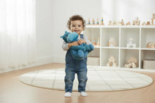 Load image into Gallery viewer, Les Ptipotos - Bibou the Hippo