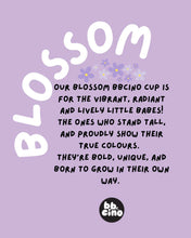 Load image into Gallery viewer, bbcino Blossom (120ml)