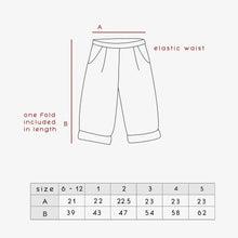 Load image into Gallery viewer, Contrast Pocket Stripe Chinos