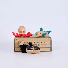 Load image into Gallery viewer, Coral Bay Mini Crate