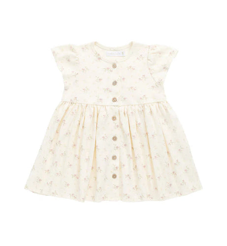 JAMIE KAY Organic Cotton Dahlia Dress | Thelma Parchment