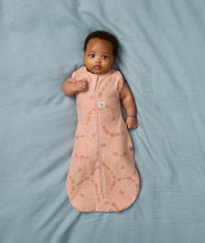 Load image into Gallery viewer, ergoPouch Cocoon Swaddle Bag 1.0 TOG - Assorted Colours