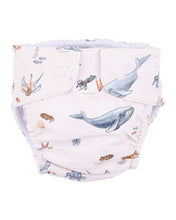 Load image into Gallery viewer, Minihaha Swim Harvey Aqua Nappy