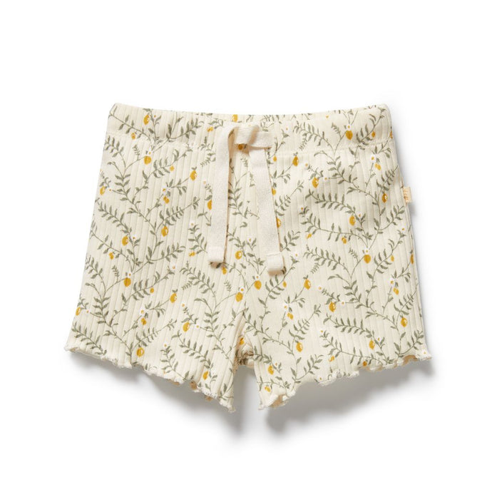 wilson + frenchy Organic Short | Lemon Leaf