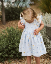Load image into Gallery viewer, Bébé Libby Embroidered Butterfly Dress