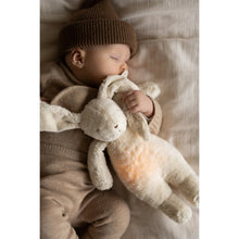 Load image into Gallery viewer, Moonie | Organic Humming Bunny