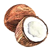 Load image into Gallery viewer, Somic Nullabor 5 Shampoo