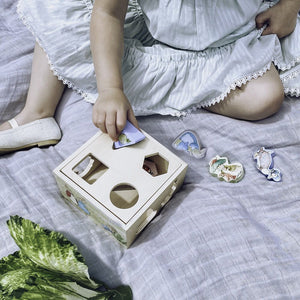 Beatrix Potter - Peter Rabbit Wooden Shape Sorter