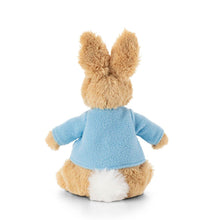 Load image into Gallery viewer, Peter Rabbit Soft Toy - Small