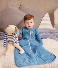 Load image into Gallery viewer, Love To Dream™ SLEEP BAG Long Sleeve | 2.5 TOG