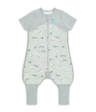 Load image into Gallery viewer, Love To Dream™ Organic SLEEP SUIT Original 1.0 TOG