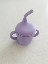 Load image into Gallery viewer, Mini &amp; Me Transitional Straw Sippy Cup