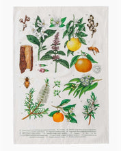 Load image into Gallery viewer, Terra Botanica Tea Towel