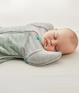 Love To Dream SWADDLE UP™ TRANSITION BAG (50/50) Warm 2.5 TOG