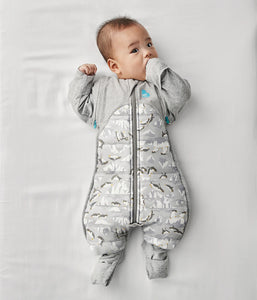 Love To Dream SWADDLE UP™ Transition Suit 3.5 TOG