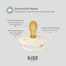 Load image into Gallery viewer, BIBS Try-it Starter Box 3pk