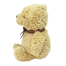 Load image into Gallery viewer, Winnie The Pooh Classic Soft Toy