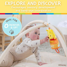 Load image into Gallery viewer, Winnie The Pooh Pull Down Honey Pot Ziggle Toy