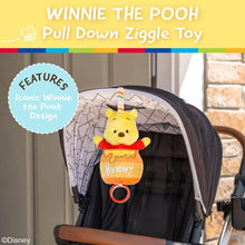 Load image into Gallery viewer, Winnie The Pooh Pull Down Honey Pot Ziggle Toy