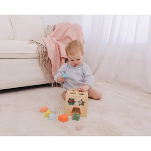 Bubble Wooden Shape Sorting Cube