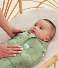 Load image into Gallery viewer, ergoPouch Cocoon Swaddle Bag 2.5 TOG - Assorted Colours
