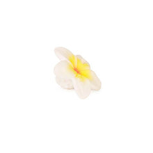 Load image into Gallery viewer, Oli &amp; Carol Chewing Toy - Hawaii the Flower