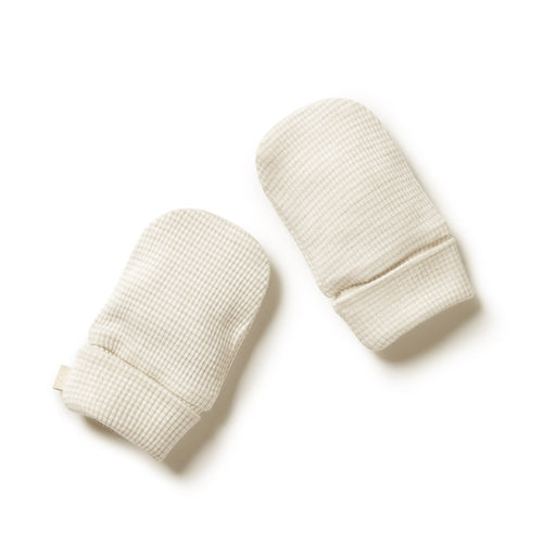 wilson + frenchy Organic Stripe Rib Mittens
