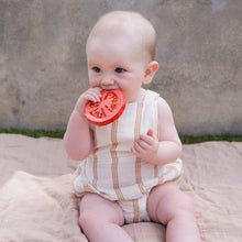 Load image into Gallery viewer, Oli &amp; Carol Chewing Toy - Renato the Tomato