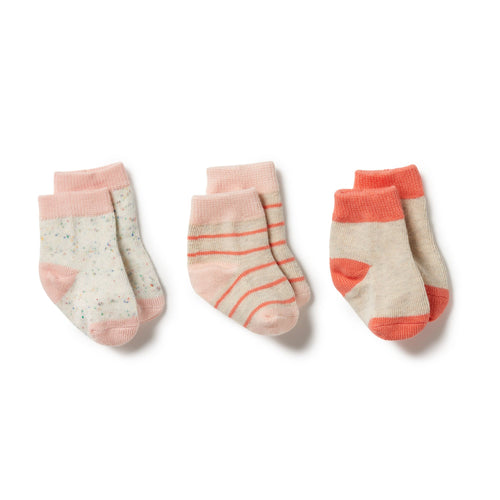 wilson + frenchy 3 Pack Baby Socks