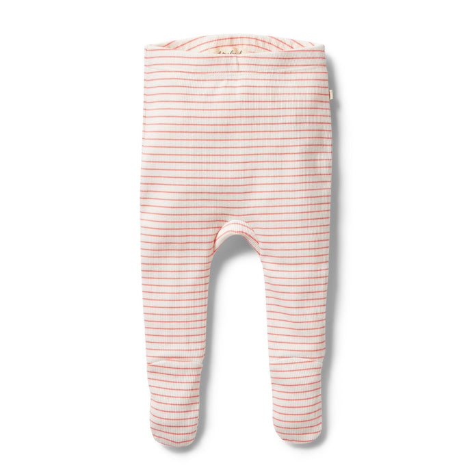 wilson + frenchy Organic Stripe Rib Legging