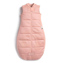 Load image into Gallery viewer, ergoPouch Jersey Sleeping Bag 2.5 TOG - Assorted Colours