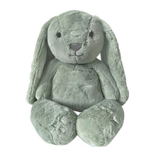 Load image into Gallery viewer, O.B Designs Large Bunny - assorted