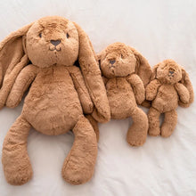 Load image into Gallery viewer, O.B Designs Large Bunny - assorted