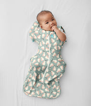 Load image into Gallery viewer, Love To Dream SWADDLE UP™ TRANSITION BAG Original 1.0 TOG