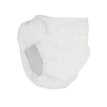 Load image into Gallery viewer, Pilchers By Pea Pods - Waterproof Nappy Cover
