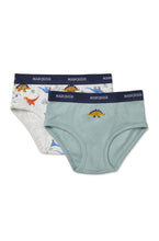 Load image into Gallery viewer, Marquise Boys Novelty Undies 2 Pack - assorted